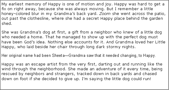 Text Box: My earliest memory of Happy is one of motion and joy. Happy was hard to get a fix on right away, because she was always moving. But I remember a little honey-colored blur in my Grandma�s back yard. Zoom she went across the patio, out past the clothesline, where she had a secret Happy place behind the garden shed. She was Grandma�s dog at first, a gift from a neighbor who knew of a little dog who needed a home. That he managed to show up with the perfect dog must have been God�s idea. Nothing else accounts for it. And Grandma loved her Little Happy, who laid beside her chair through long dark stormy nights. Her original name had been Sheeta�Grandma saw that it needed changing, to Happy. Happy was an escape artist from the very first, darting out and running like the wind through the neighborhood. She made an adventure of it every time, being rescued by neighbors and strangers, tracked down in back yards and chased down on foot if she decided to give up. I�m saying the little dog could run! 