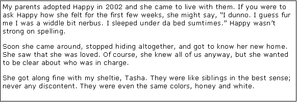 Text Box: My parents adopted Happy in 2002 and she came to live with them. If you were to ask Happy how she felt for the first few weeks, she might say, �I dunno. I guess fur me I was a widdle bit nerbus. I sleeped under da bed sumtimes.� Happy wasn�t strong on spelling.Soon she came around, stopped hiding altogether, and got to know her new home. She saw that she was loved. Of course, she knew all of us anyway, but she wanted to be clear about who was in charge. She got along fine with my sheltie, Tasha. They were like siblings in the best sense; never any discontent. They were even the same colors, honey and white. 