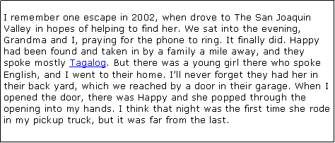 Text Box: I remember one escape in 2002, when drove to The San Joaquin Valley in hopes of helping to find her. We sat into the evening, Grandma and I, praying for the phone to ring. It finally did. Happy had been found and taken in by a family a mile away, and they spoke mostly Tagalog. But there was a young girl there who spoke English, and I went to their home. I�ll never forget they had her in their back yard, which we reached by a door in their garage. When I opened the door, there was Happy and she popped through the opening into my hands. I think that night was the first time she rode in my pickup truck, but it was far from the last.  