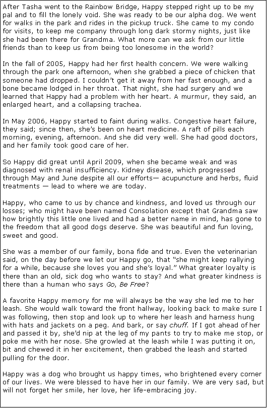 Text Box: After Tasha went to the Rainbow Bridge, Happy stepped right up to be my pal and to fill the lonely void. She was ready to be our alpha dog. We went for walks in the park and rides in the pickup truck. She came to my condo for visits, to keep me company through long dark stormy nights, just like she had been there for Grandma. What more can we ask from our little friends than to keep us from being too lonesome in the world? In the fall of 2005, Happy had her first health concern. We were walking through the park one afternoon, when she grabbed a piece of chicken that someone had dropped. I couldn�t get it away from her fast enough, and a bone became lodged in her throat. That night, she had surgery and we learned that Happy had a problem with her heart. A murmur, they said, an enlarged heart, and a collapsing trachea. In May 2006, Happy started to faint during walks. Congestive heart failure, they said; since then, she�s been on heart medicine. A raft of pills each morning, evening, afternoon. And she did very well. She had good doctors, and her family took good care of her. So Happy did great until April 2009, when she became weak and was diagnosed with renal insufficiency. Kidney disease, which progressed through May and June despite all our efforts� acupuncture and herbs, fluid treatments � lead to where we are today. Happy, who came to us by chance and kindness, and loved us through our losses; who might have been named Consolation except that Grandma saw how brightly this little one lived and had a better name in mind, has gone to the freedom that all good dogs deserve. She was beautiful and fun loving, sweet and good. She was a member of our family, bona fide and true. Even the veterinarian said, on the day before we let our Happy go, that �she might keep rallying for a while, because she loves you and she�s loyal.� What greater loyalty is there than an old, sick dog who wants to stay? And what greater kindness is there than a human who says Go, Be Free? A favorite Happy memory for me will always be the way she led me to her leash. She would walk toward the front hallway, looking back to make sure I was following, then stop and look up to where her leash and harness hung with hats and jackets on a peg. And bark, or say chuff. If I got ahead of her and passed it by, she�d nip at the leg of my pants to try to make me stop, or poke me with her nose. She growled at the leash while I was putting it on, bit and chewed it in her excitement, then grabbed the leash and started pulling for the door. Happy was a dog who brought us happy times, who brightened every corner of our lives. We were blessed to have her in our family. We are very sad, but will not forget her smile, her love, her life-embracing joy. 